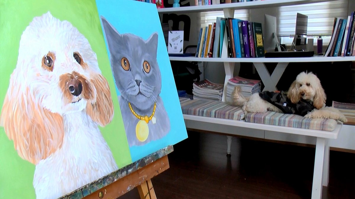 Üniversiteli gençler, 15 kilo mama karşılığında evcil hayvanların resimlerini çiziyor