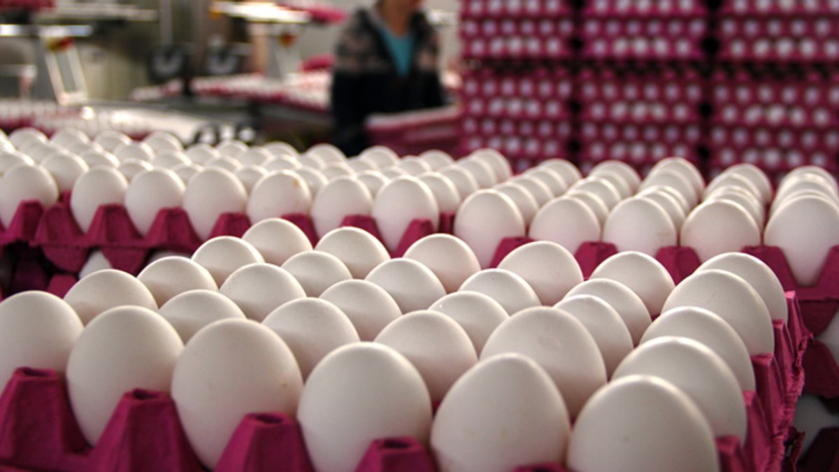 Enflasyon kendisini göstermeye başladı: Yumurta zammı yolda