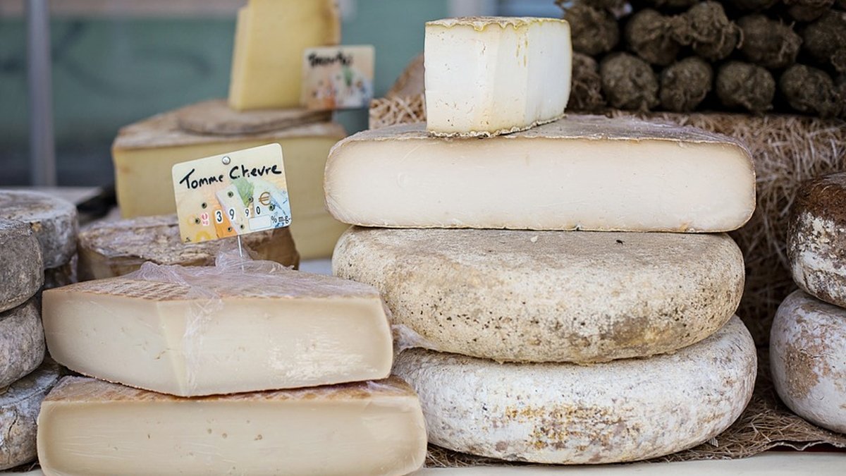 Fransa'da bakteri alarmı: Şimdi de peynire bulaştı