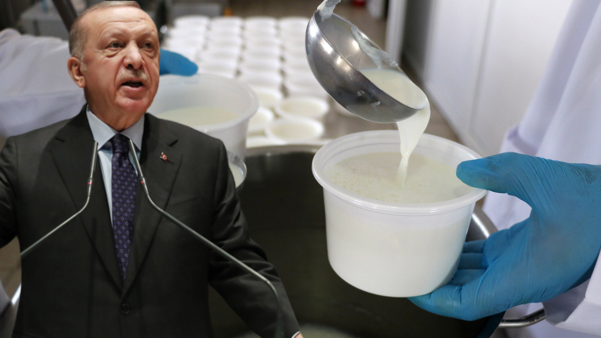 Erdoğan'ın manda yoğurdu karışımı tarifi ürüne ilgiyi arttırdı! Manda yoğurdunun hangi hastalıklara iyi geldiği açıklandı