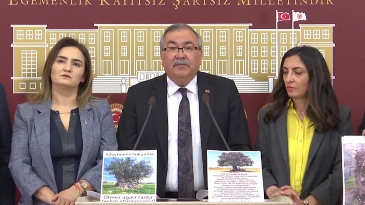 CHP'li vekillerden Danıştay'a çağrı: Bu zeytin talanına ve yağmaya ortak olmayın