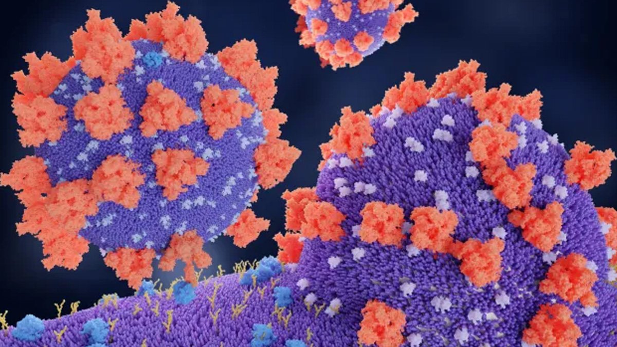 Bilim insanları 5 bin 500 RNA virüsü keşfetti: Bilinen virüslerin sayısı iki katına çıktı