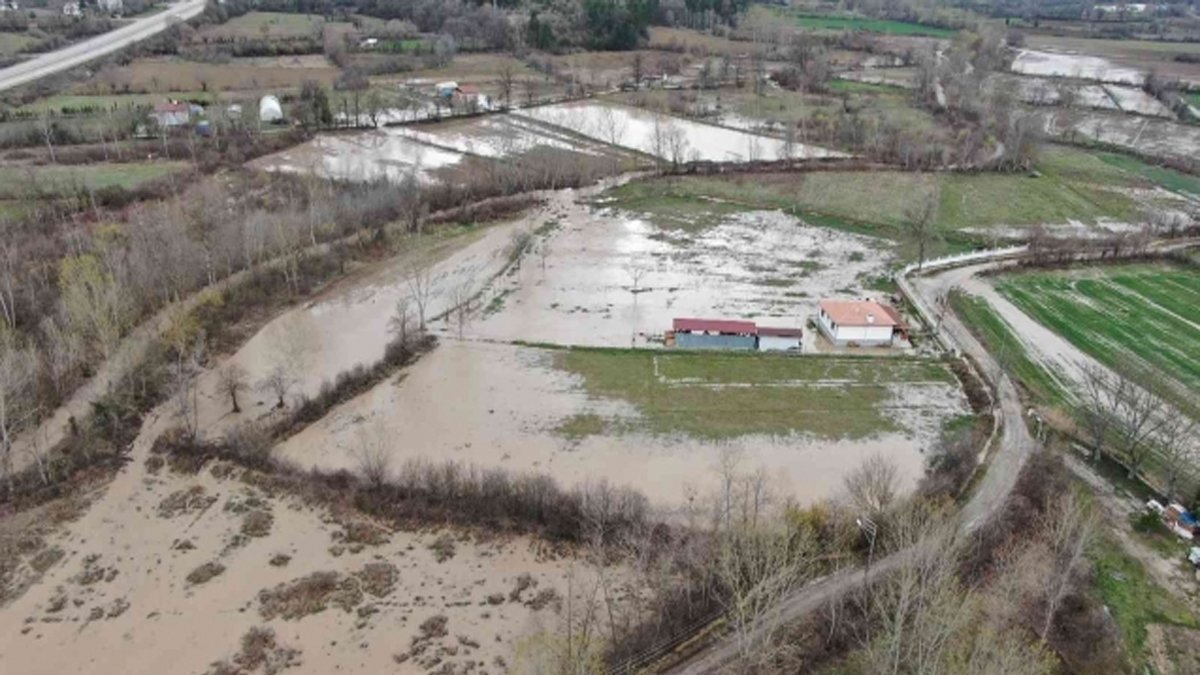 Geçide atlayan koyunu diğerleri de takip etti: 45 kuzu ve koyun öldü