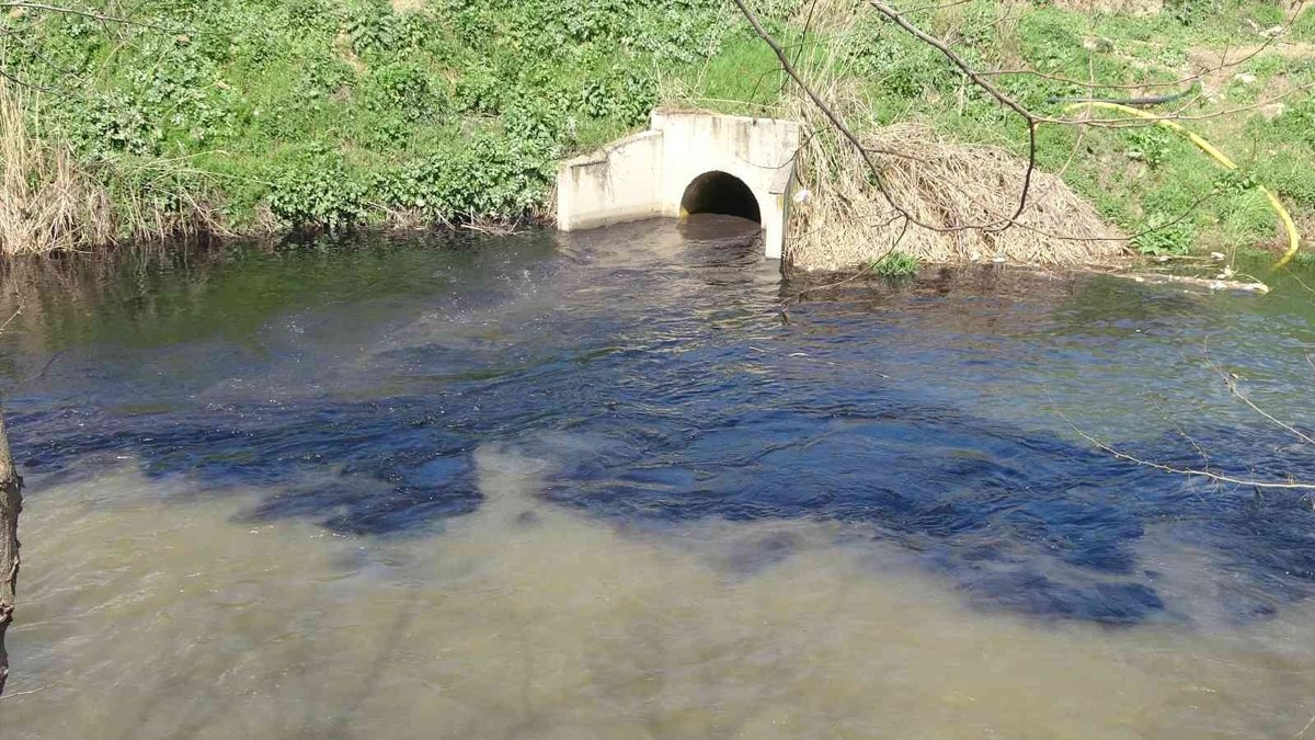 CİMER'i bile kandırdılar: Zehir saçan dereye 'tertemiz akıyor' raporu