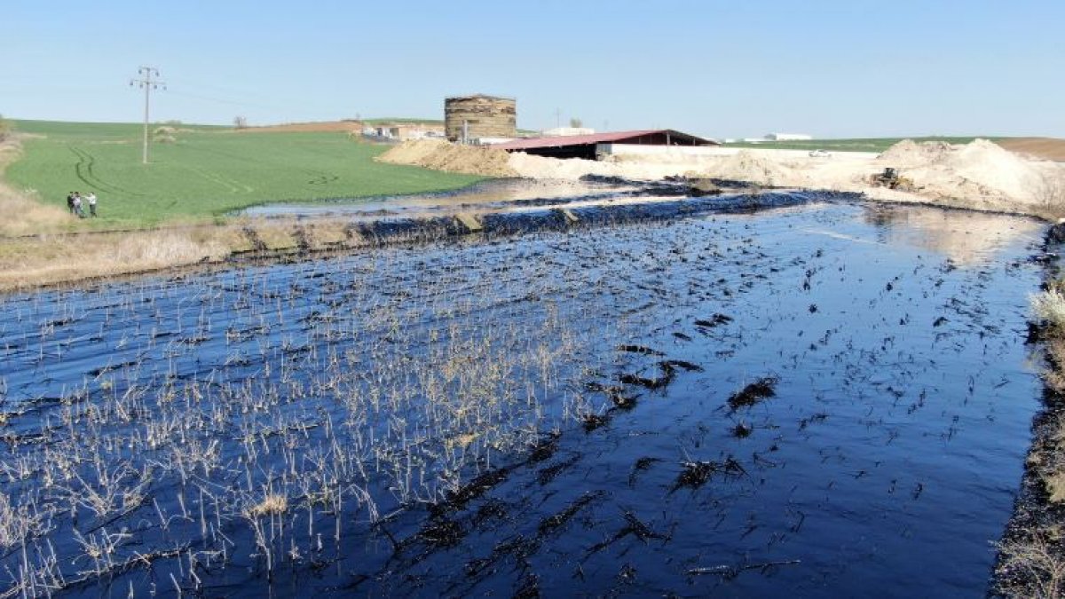 Edirne'de tarlaları ve dereyi zifte boğmuştu: Faaliyetleri durduruldu