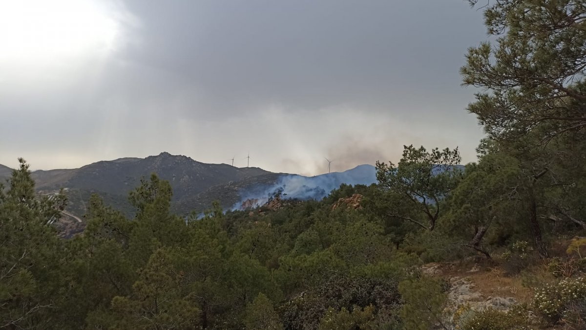 Rüzgarın etkisiyle yeniden başladı: Bodrum'da orman yangını
