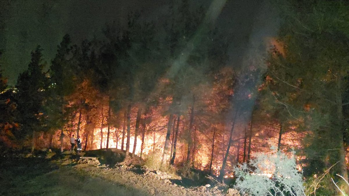 Hatay'da orman yangını: Rüzgar havadan müdahaleyi engelliyor