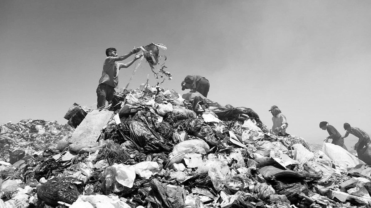 Devlet izliyor çöp ayıbı büyüyor