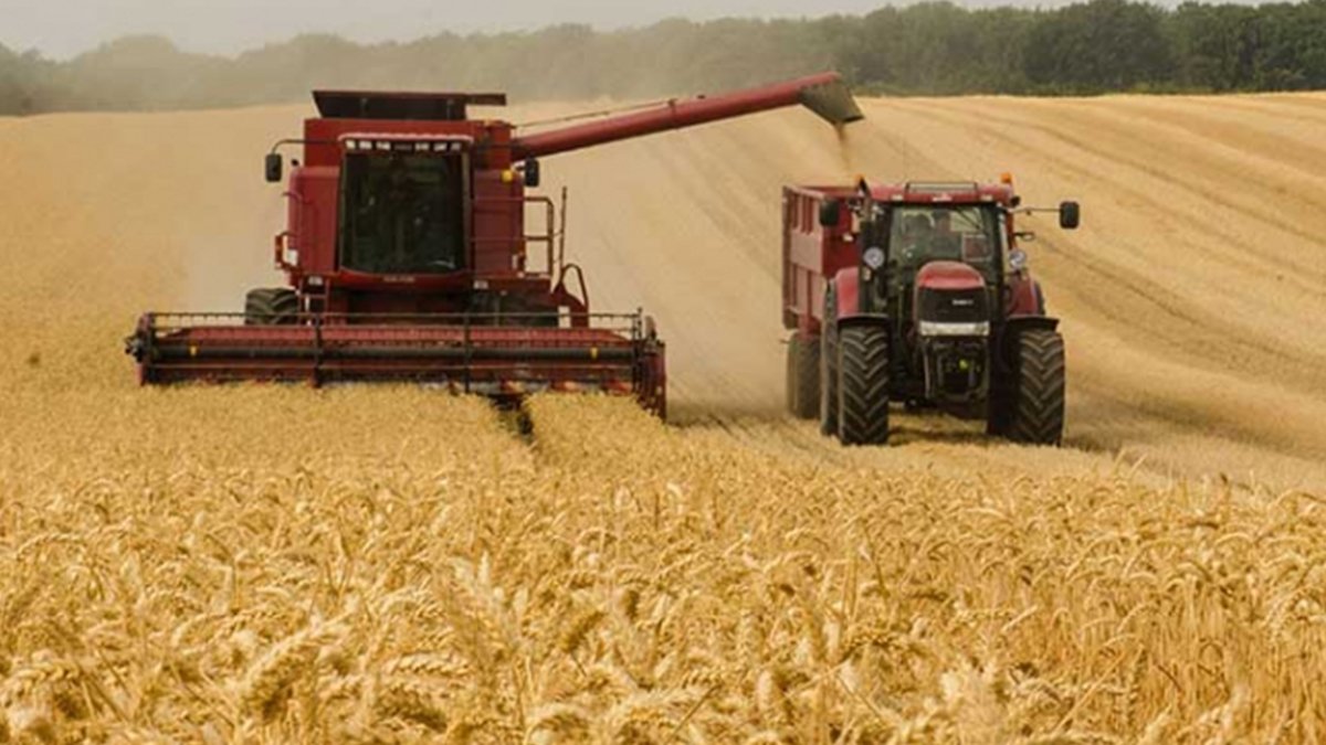 Hindistan, Rusya-Ukrayna Savaşını Fırsata Çevirdi! Türkiye Bile Hindistan'ın Kapısını Çalmaya Hazırlanıyor