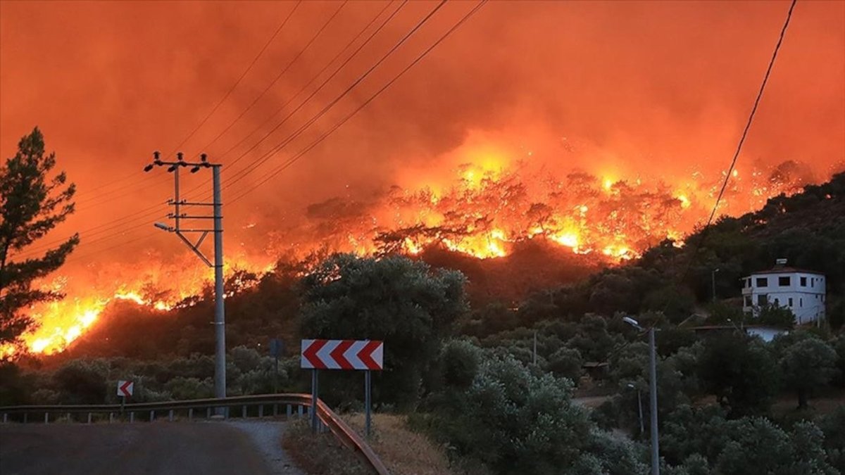 CHP'li vekiller geçen yıl yanan ormana gitti: Usulsüzlükler için pis kokular alıyoruz