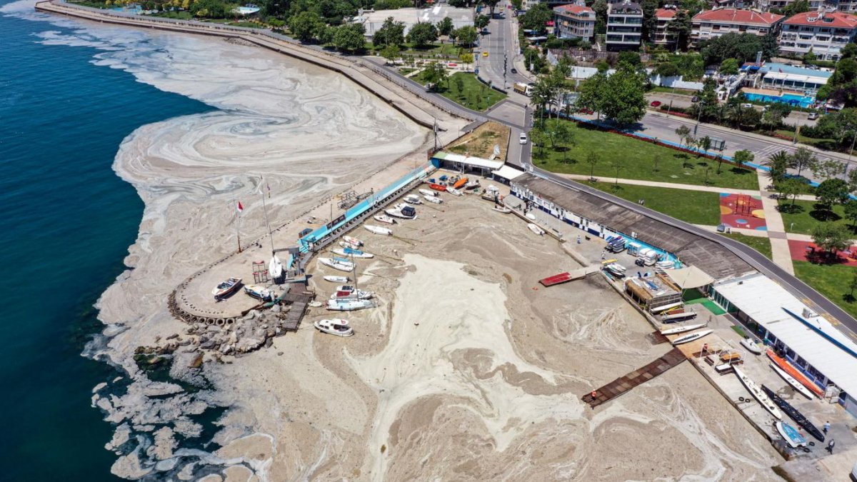 Marmara Denizi'nde müsilaj uyarısı: Denizin ısınması tetikleyebilir