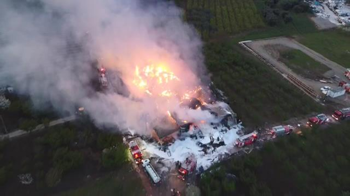 Yalova'da feci yangın: Kereste fabrikası kül oldu!