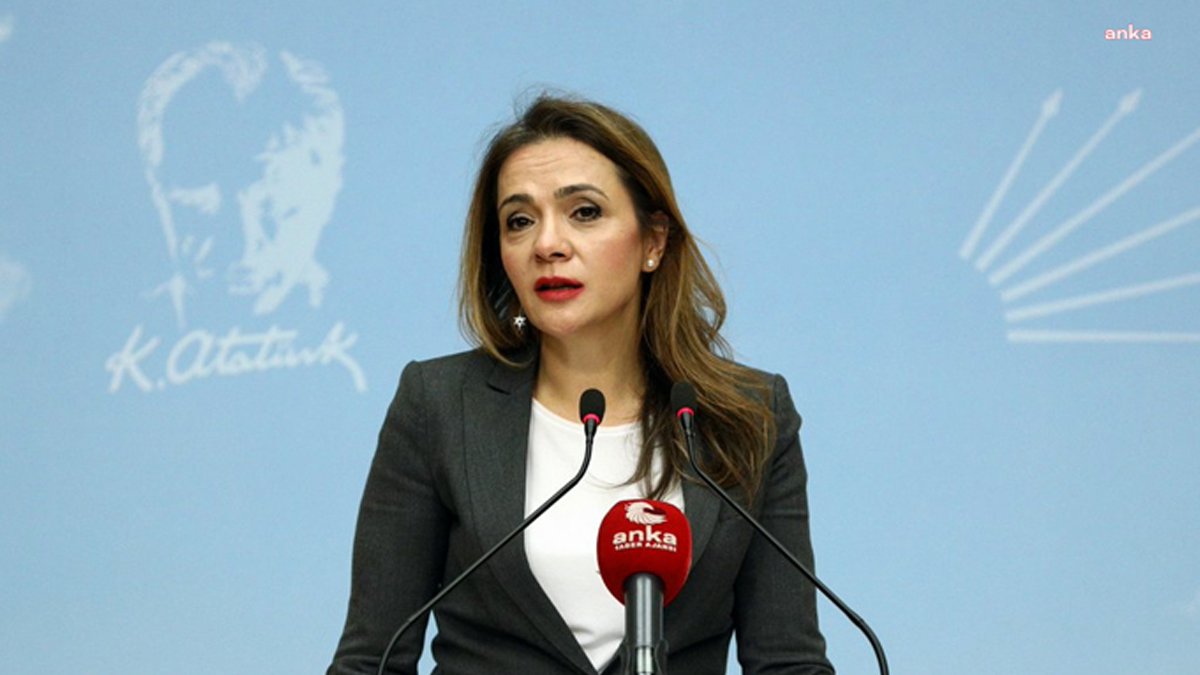 CHP'li Akkuş İlgezdi'den Erdoğan'a 'sigara' tepkisi: Sizin derdiniz sigara değil, daha çok vergi