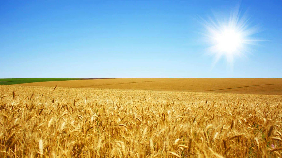 Dünya Bankası: Ukrayna savaşı son 50 yılın en büyük fiyat artışına yol açacak