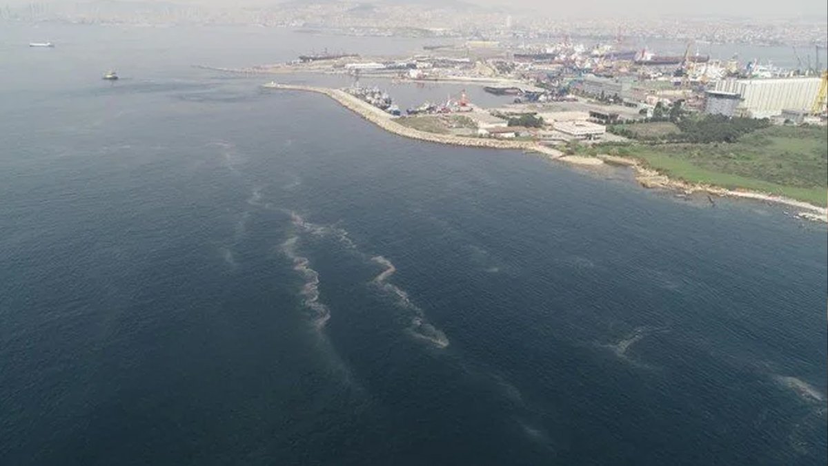 İnceleme ekibi açıkladı: Müsilaja ilişkin bir bulguya rastlayamadık