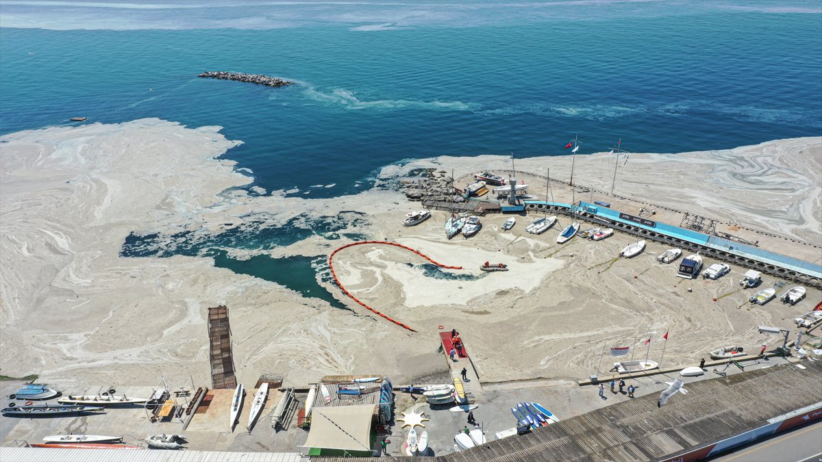 Müsilaj kabusu yeniden: 3 ilçenin kiri Marmara'yı öldürüyor