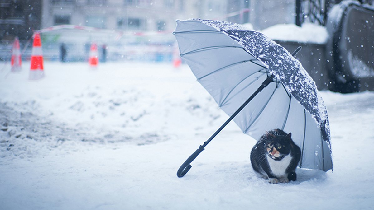 Sıcak Havalar Hayal Oldu! Meteoroloji'nin 'Sarı Kod' Uyarısı Evlere Hapsedecek