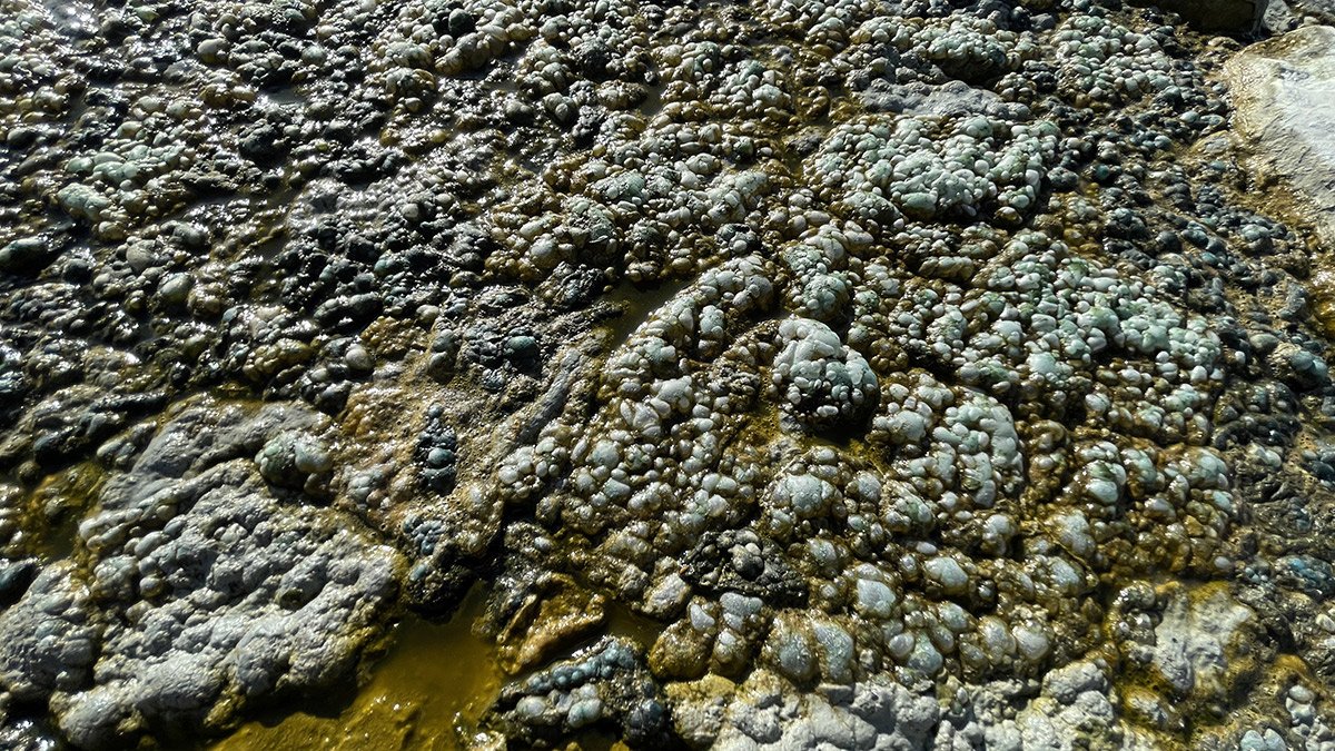 Burdur Gölü'nde endişelendiren görüntü! Suyun rengi değişti