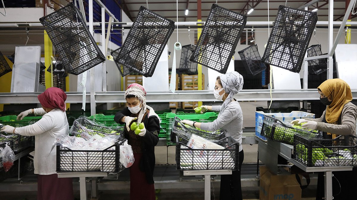 Savaş başlayınca düşüş yaşanmıştı: İhracatta Rusya hareketliliği