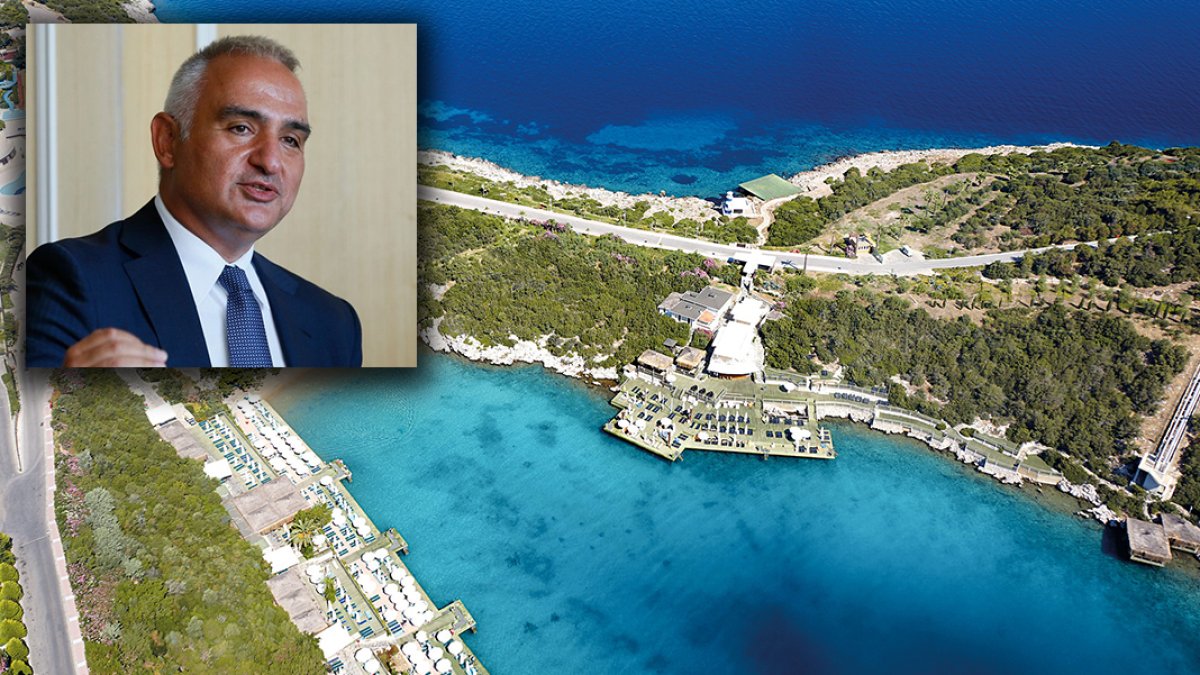 Turizm Bakanı Mehmet Ersoy'dan kendi şirketine proje onayı: 25 bin metrekarelik orman arazisi dahil edilecek