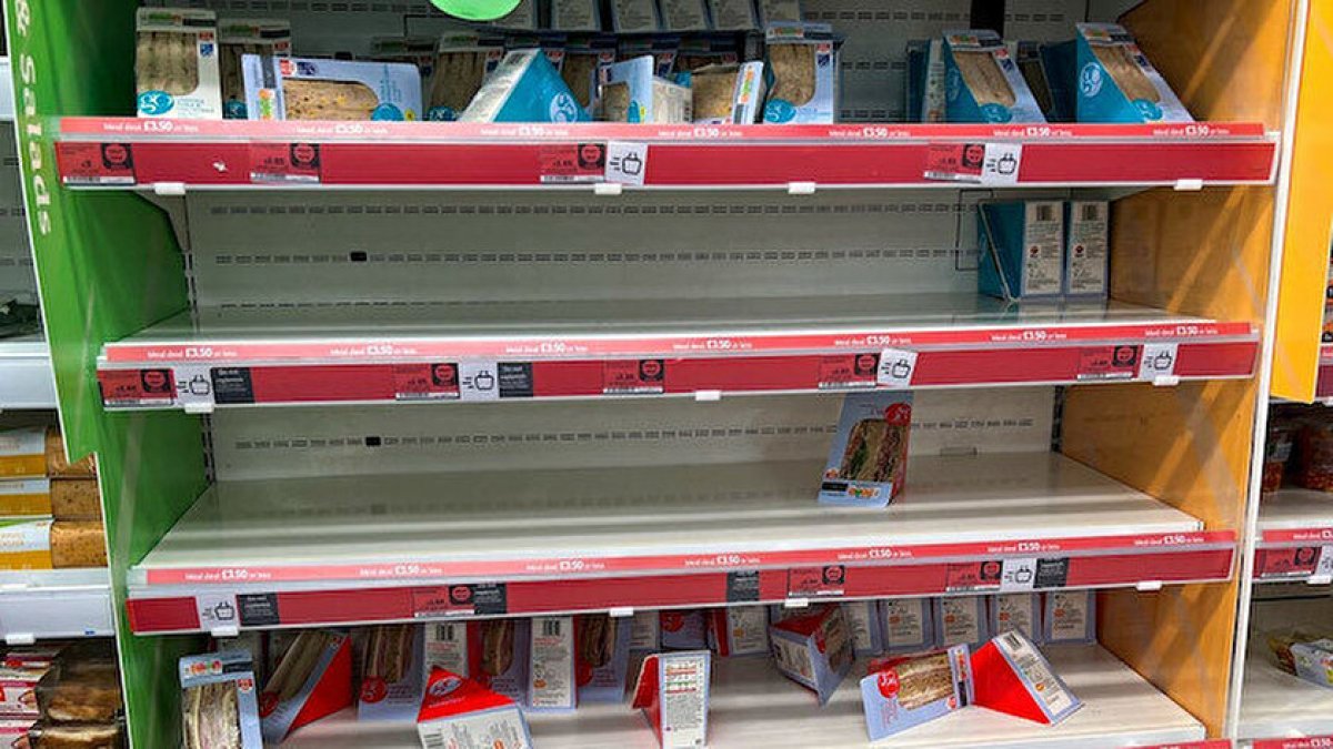 Salmonella, Kinder'in ardından tavukları da vurdu: O ülkede ürünler toplatılıyor