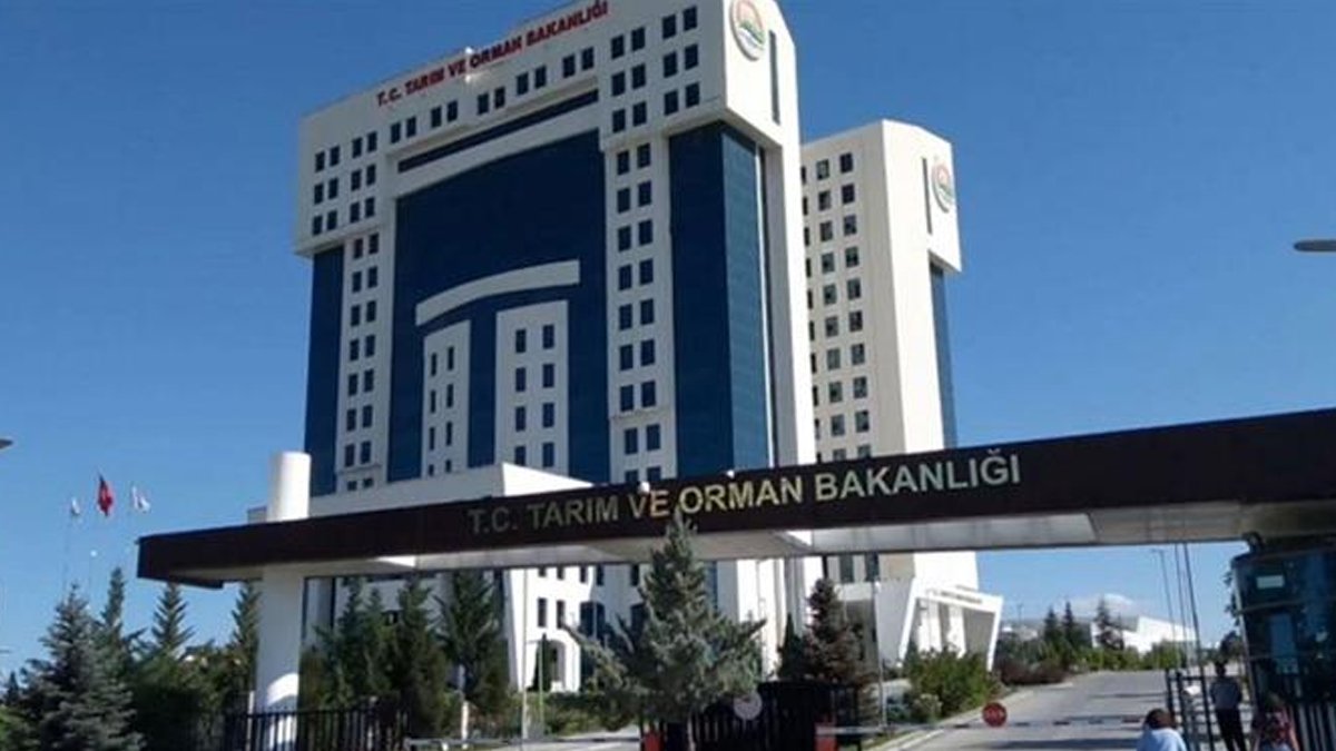 Tarım ve Orman Bakanlığı: Hindistan'dan herhangi bir buğday talebi olmamıştır