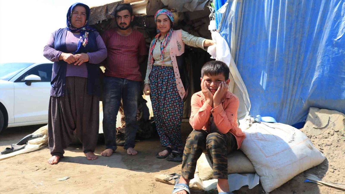 Kimliksiz tarım işçisi ailenin acı hikayesi: Hayvanların bile kimliği var bizim yok