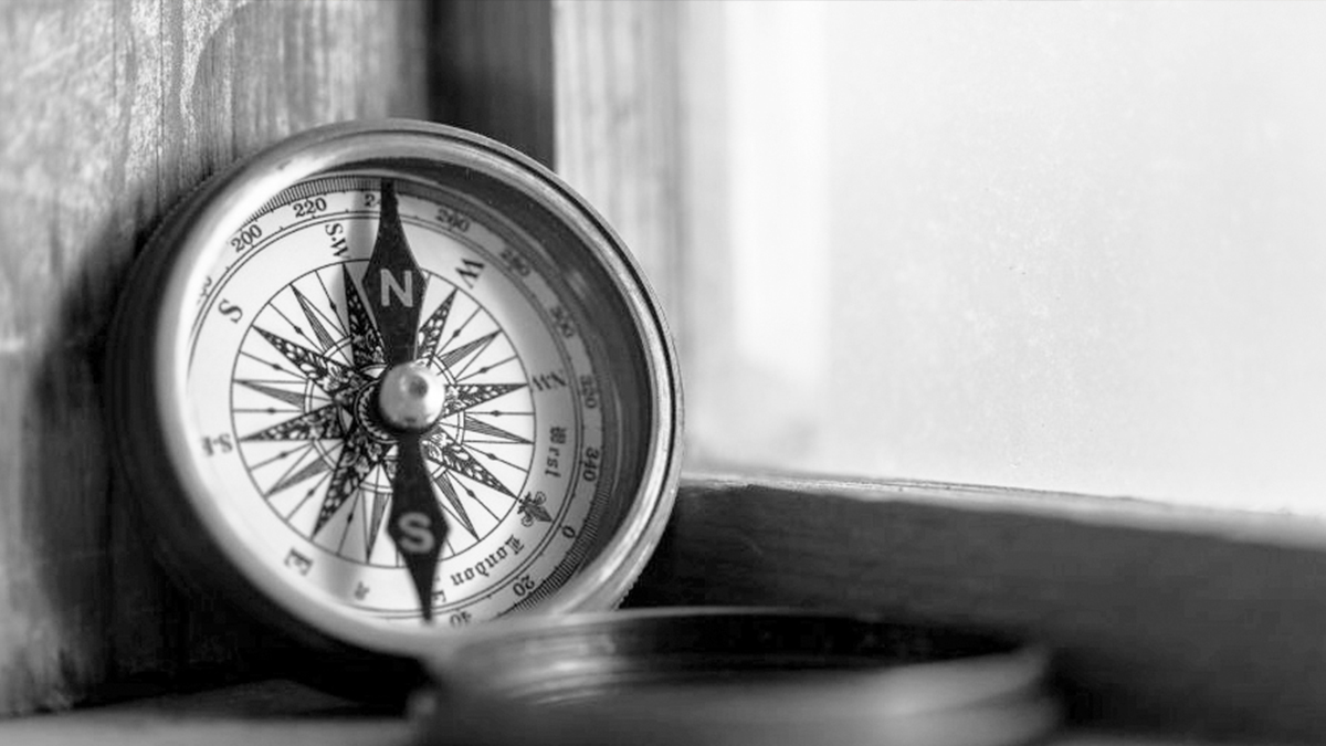 Devrimci konformistler ve anarşist muhafazakârlar için bir politik tasarı