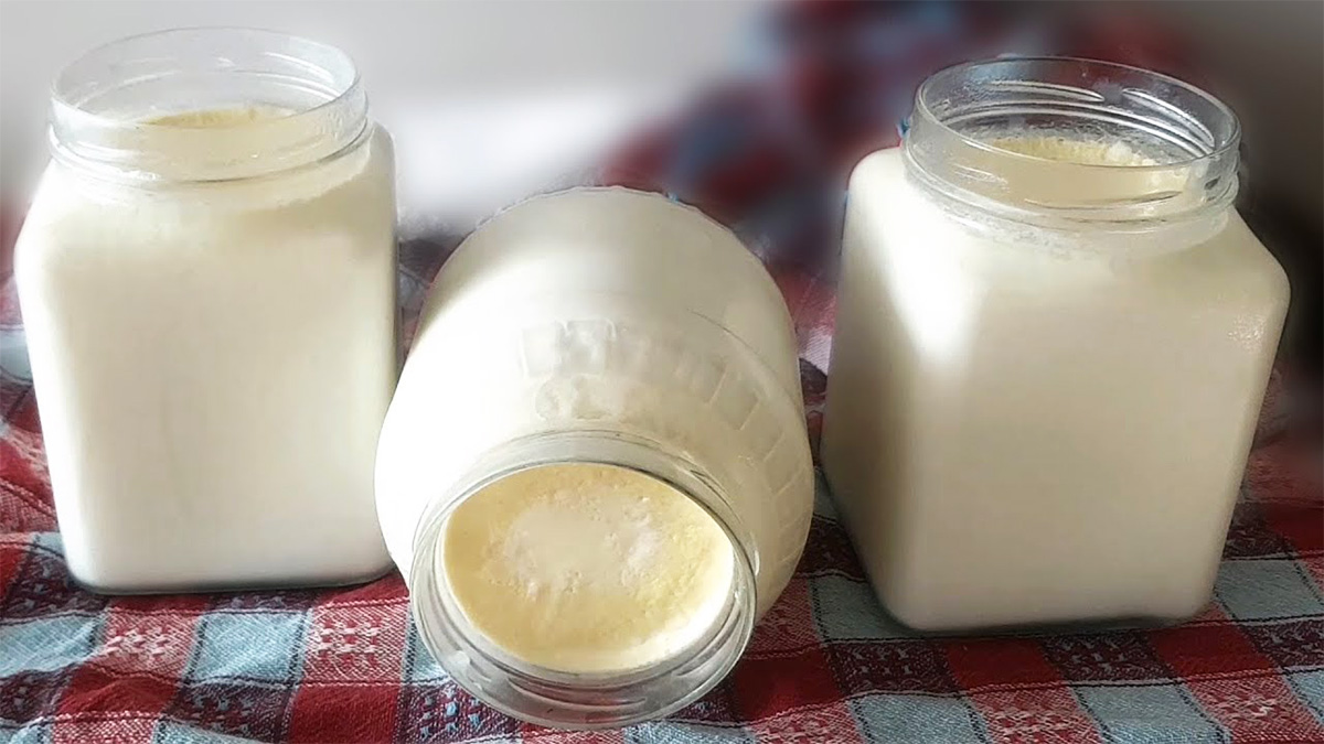 Chi vuole fermentare lo yogurt con pietanze dovrebbe assolutamente provare questo metodo!  Ecco i consigli per la fermentazione dello yogurt