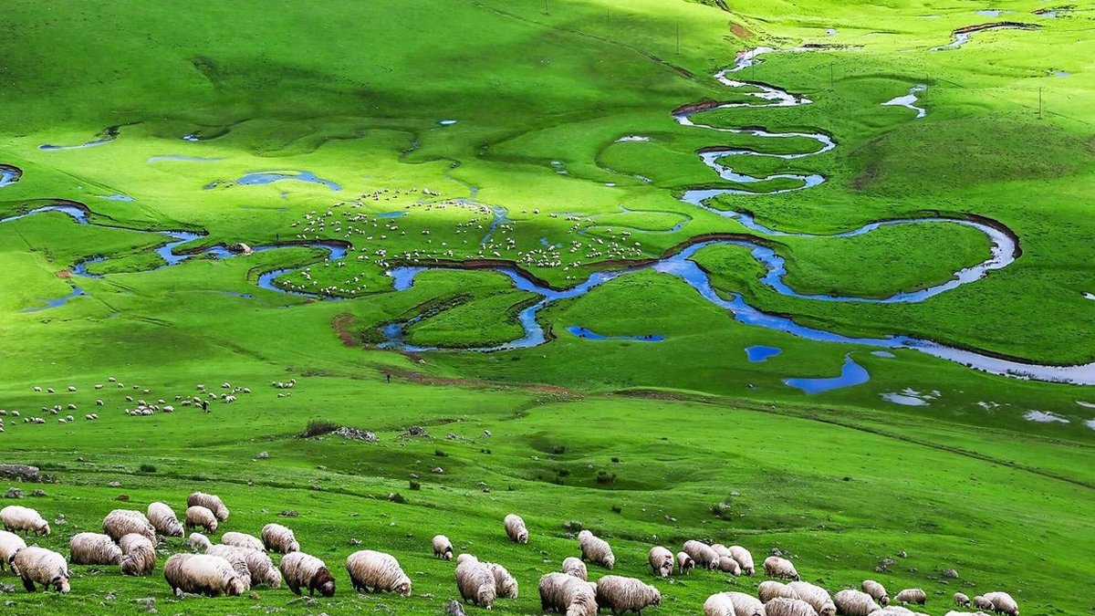 Bu katliamı durdurun: Altın arama ruhsatı verilen alan bakın neresi çıktı