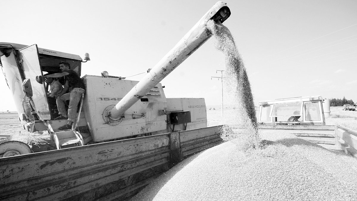Planlama yok yalanlama çok