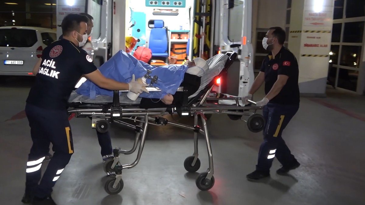 Havalar ısındı kabus yeniden hortladı! Uyurken hastanelik oldu