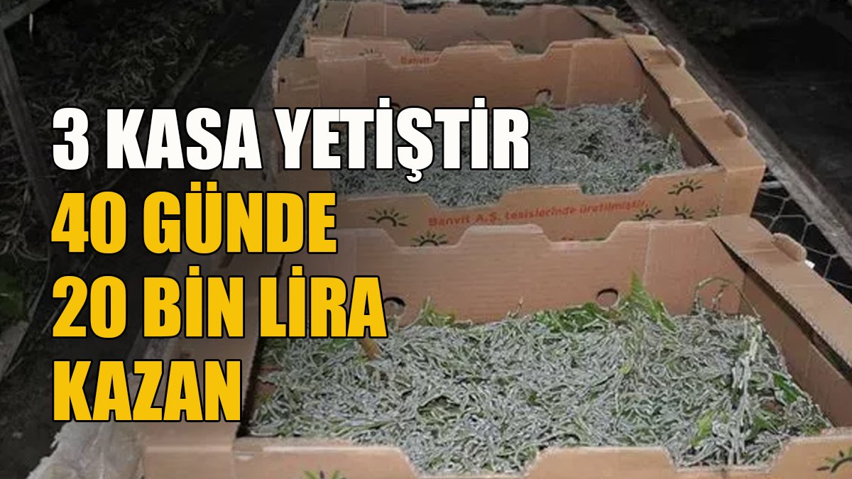 40 günde 20 Bin Lira Kazanmak İster Misiniz? Mevcut İşinizden Ayrılmanız Bile Gerekmiyor! Üstelik Devlet Desteği De Var