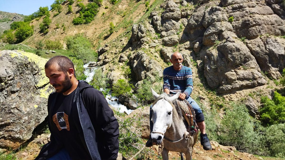 Tunceli'de filmleri aratmayacak olay... Karşısına çıkan ayının ağzına sopayı sokarak kurtuldu!