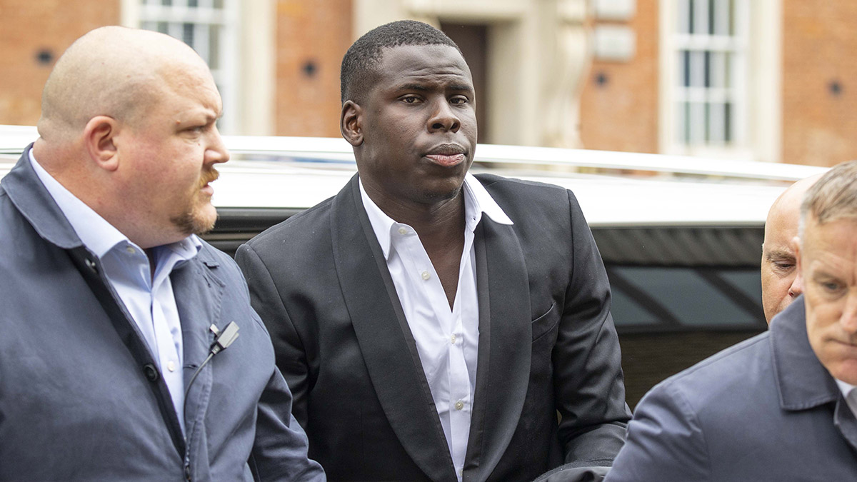 Fransız yıldız kedisini tekmelemişti: Cezası belli oldu