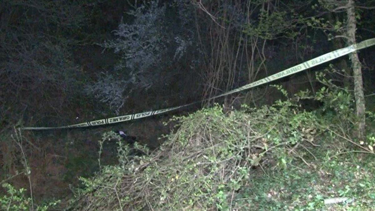 Tokat'ta ormanlık alanda ceset parçaları bulundu