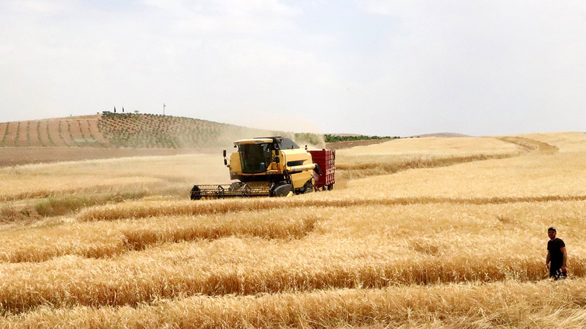 'Tahıl koridoru' için kritik zirve
