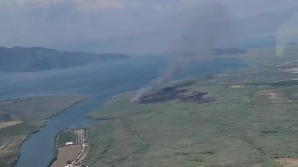 Köyceğiz Gölü'nde sazlık alanda yangın: Havadan müdahale ediliyor