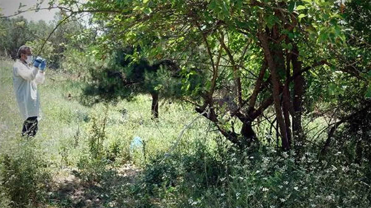 Bebeğini fabrika bahçesine atan annenin ifadesi ortaya çıktı