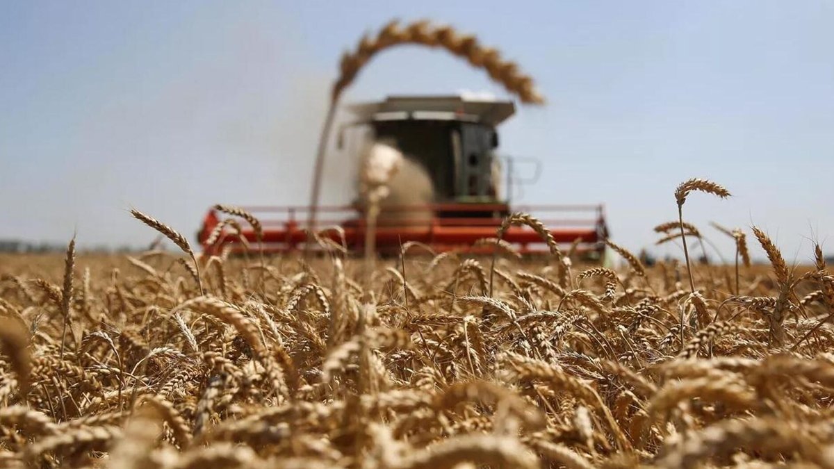 Ankara krizi çözmek için devrede: Tahıl ambarının başına üç general