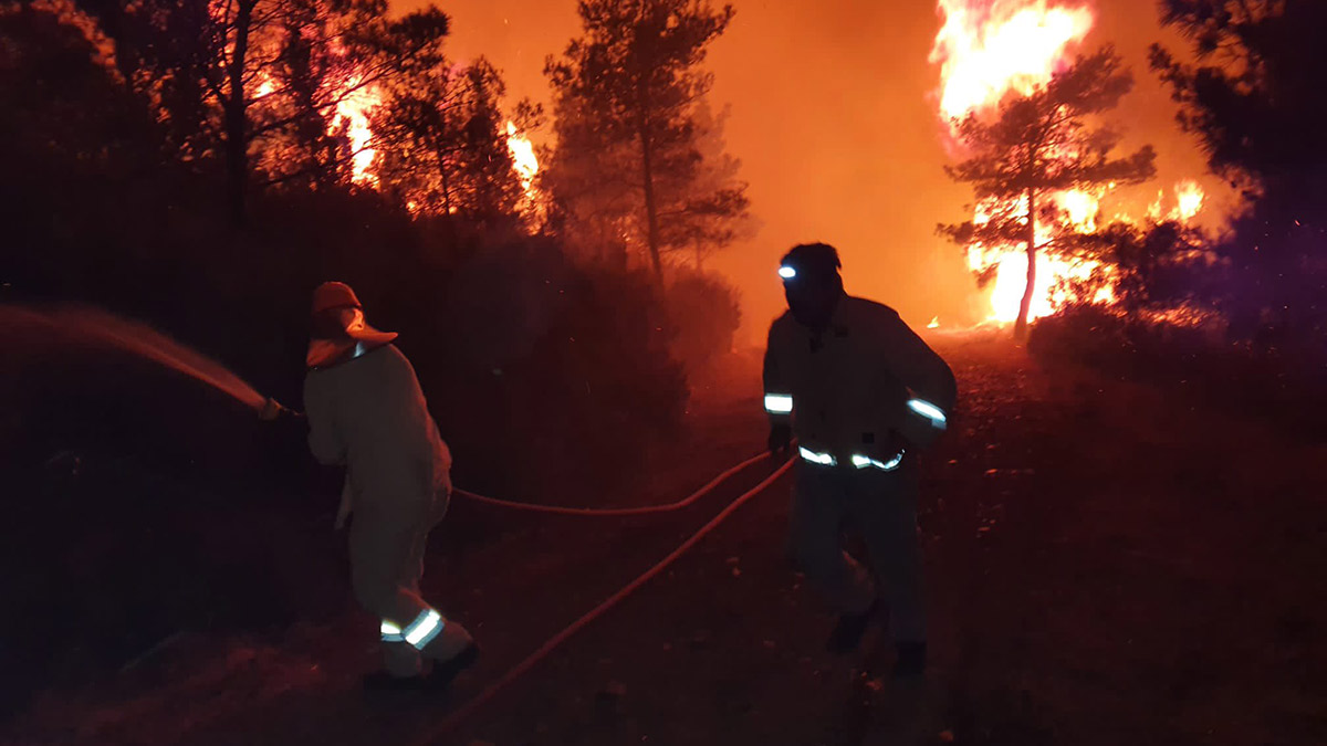 Marmaris'te orman yangını! Çevre illerden takviye ekipler yola çıktı