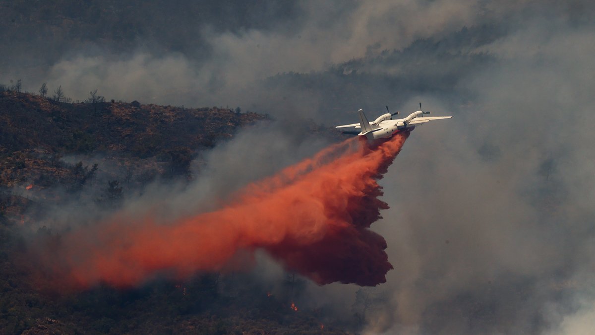 Son dakika! Marmaris'teki orman yangınına soruşturma