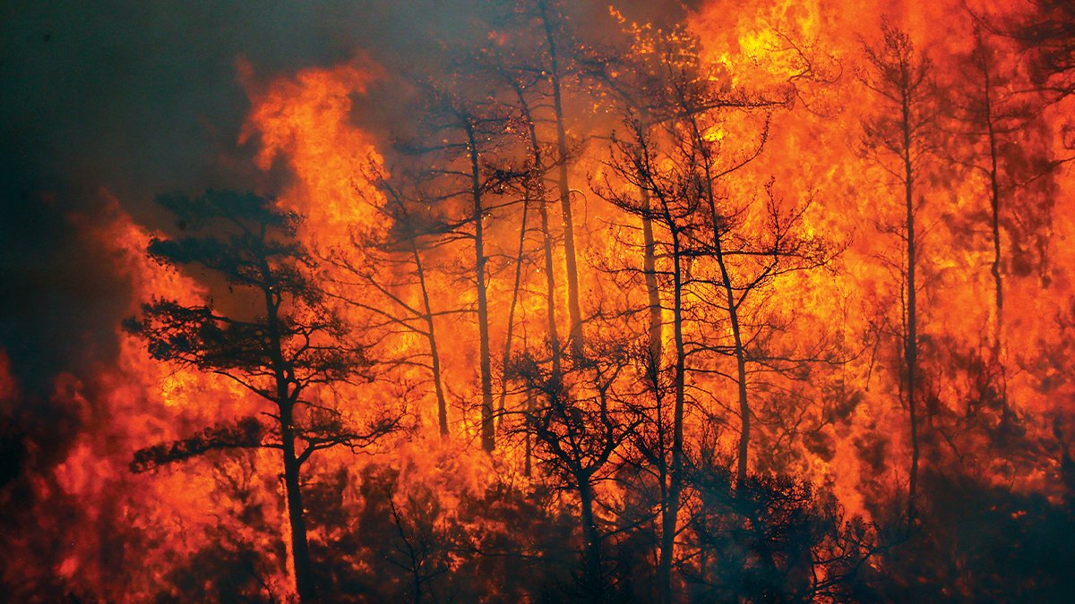 Yine bir kâbus gecesi