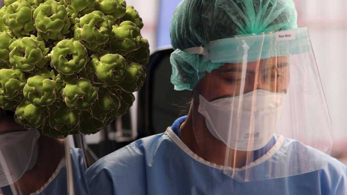 DSÖ'den 'maymun çiçeği' toplantısı: Küresel acil durum ilan edilecek mi?