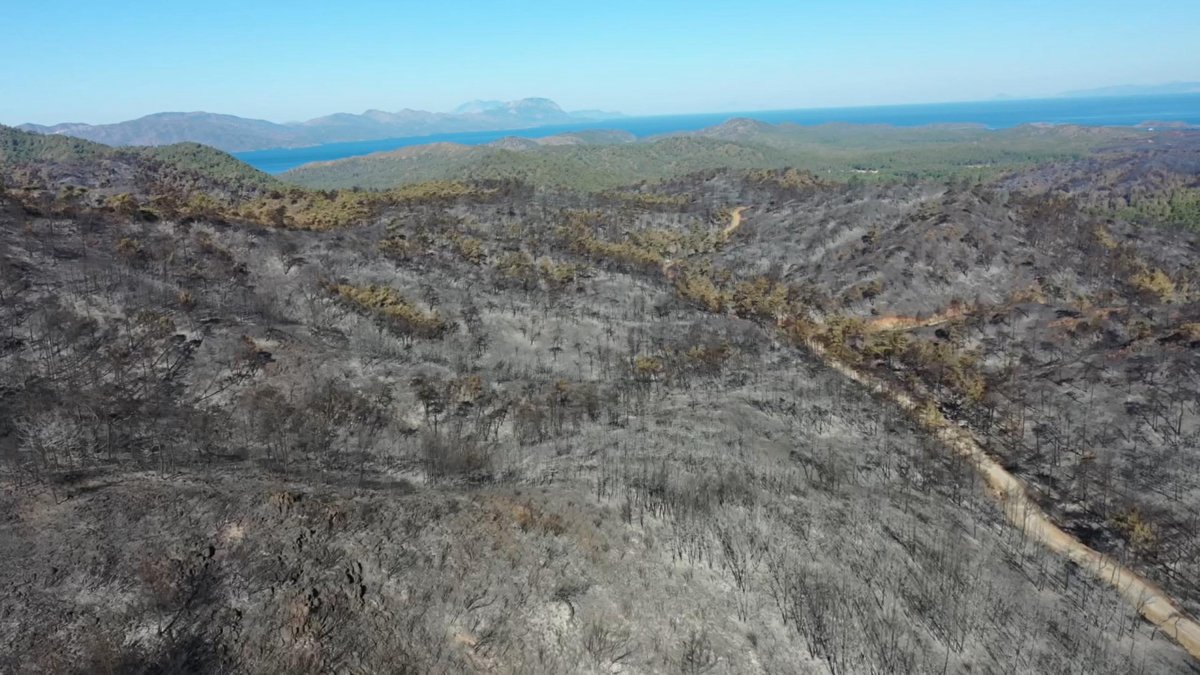 Uzmanlar 'Yangın büyümeden önlenebilir miydi?' sorusunu yanıtladı: Felaket göz göre göre gelmiş