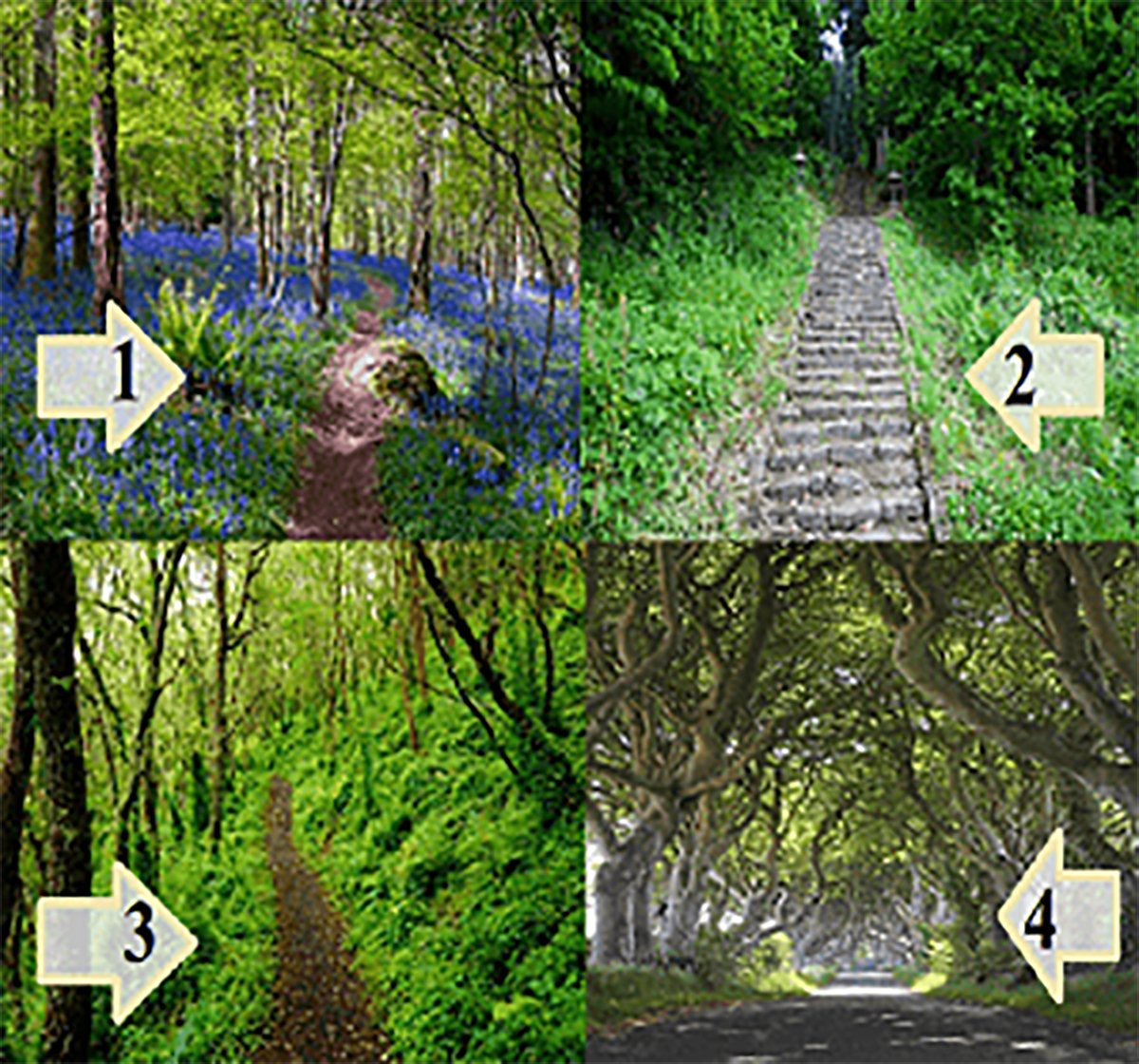 Seçtiğiniz Yol Talihinizi Söyleyecek! Öğrenmeye Hazır mısınız?