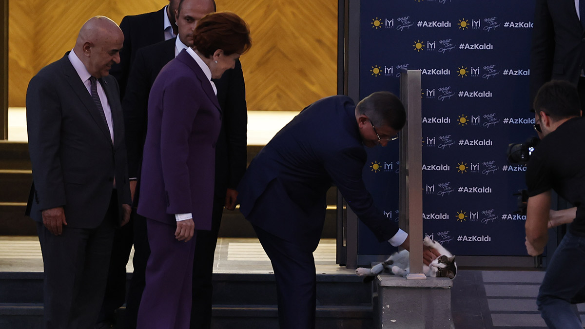 Akşener, Davutoğlu ve Karamollaoğlu'na kedisi Geveze'den yakındı: Şişman ve çok konuşuyor
