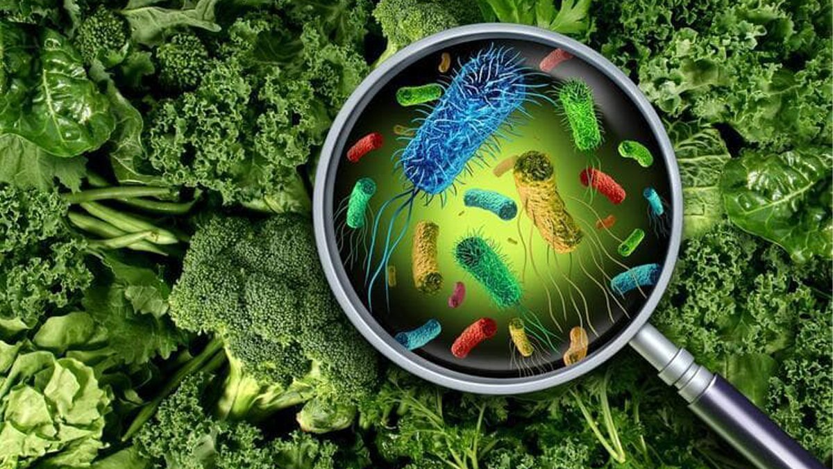 Bu 7 Belirtiyi Yaşıyorsanız Gıda Zehirlenmesi Yaşıyor Olabilirsiniz