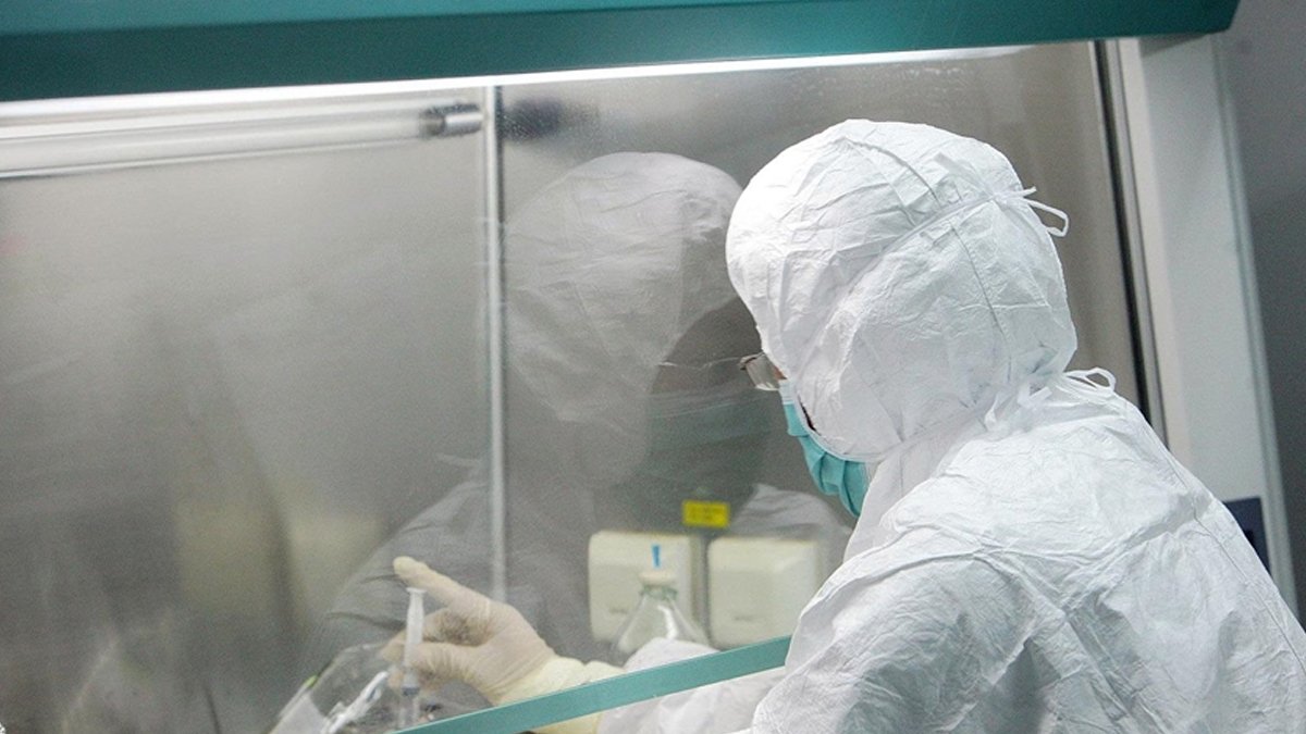 Maymun çiçeği virüsü yayılıyor: Panama'da ilk vaka