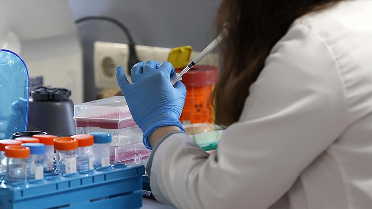 Korkulan oluyor: Maymun çiçeği virüsü 3 can aldı